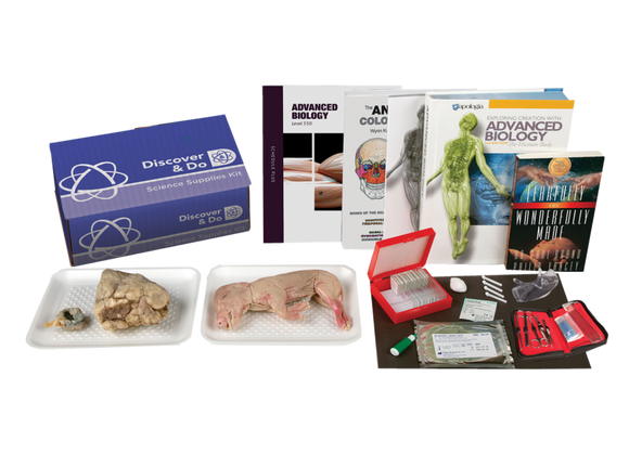 Science 550Advanced BiologyLab course covering both the anatomy and physiology of the human body’s 11 organ systems. Includes experiments and a unique Sonlight schedule.Age Range: 17-18Grade Range: 11-12