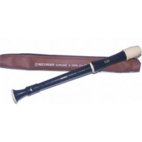 RecorderBroaden your student's music education with an easy and inexpensive instrument.
