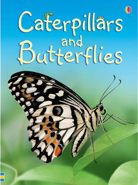 Caterpillars and Butterflies