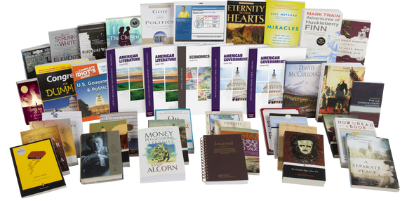 American Government and Economics