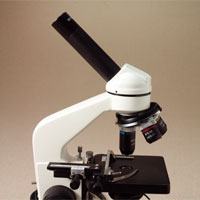 9sm ocular tube normal