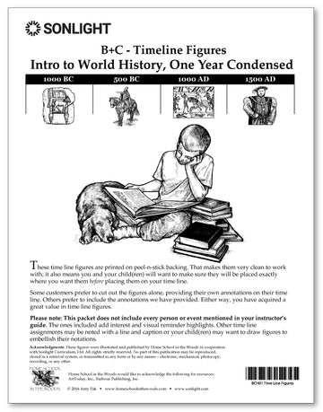 Timeline Figures B+C