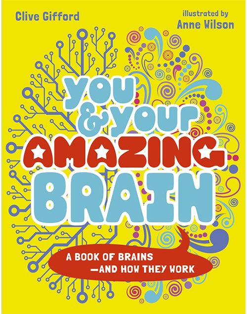 You & Your Amazing Brain: A Book of Brains and How They Work