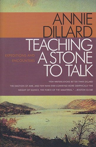 Teaching a Stone to Talk