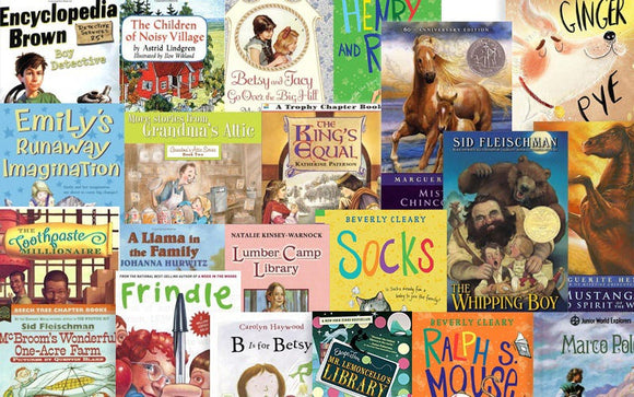 Grade 4 Readers Book Collection