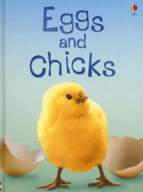Eggs and Chicks (Clearance)