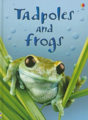 Tadpoles and Frogs (Clearance)