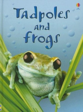 Tadpoles and Frogs (Clearance)