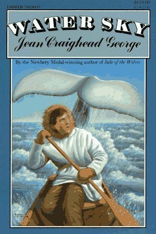 Water Sky (Clearance)