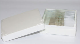 Prepared Slides for Exploring Creation with Biology