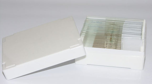 Prepared Slides for Exploring Creation with Biology