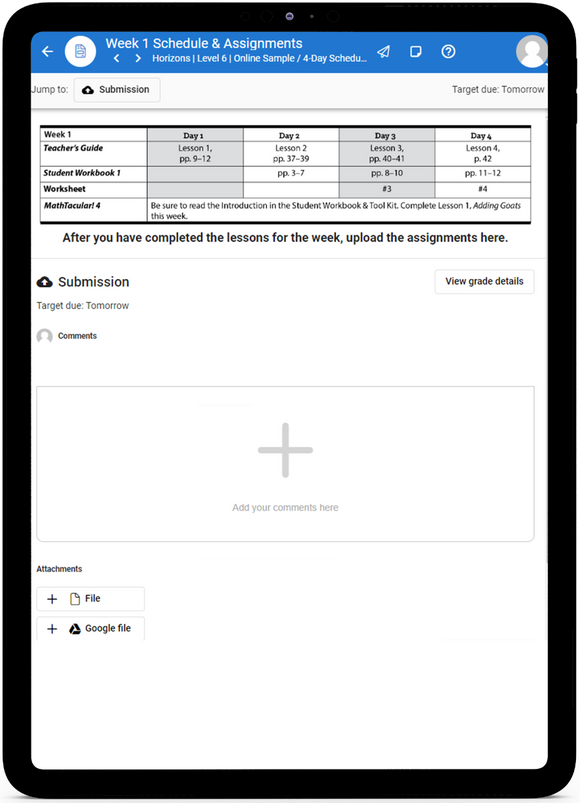 Horizons Math, Level 6 - Online Schedule