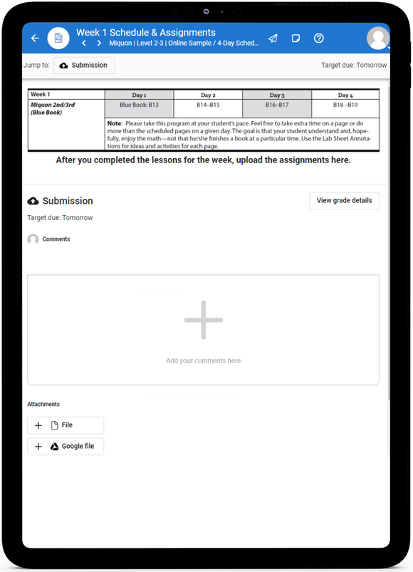 Miquon Math Second/Third Grade - Online Schedule