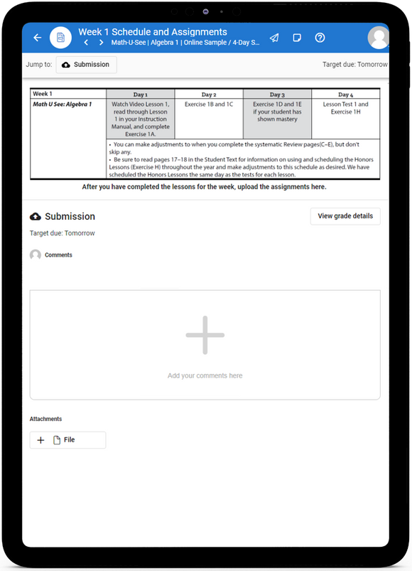 Math-U-See Algebra 1 - Online Schedule