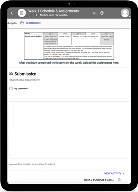 Math-U-See Pre-Algebra - Online Schedule