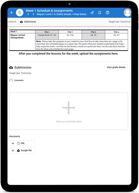 Miquon Math First/Second Grade - Online Schedule