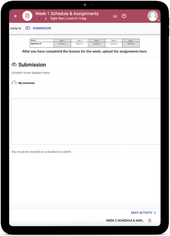 RightStart Level D Math - Online Schedule