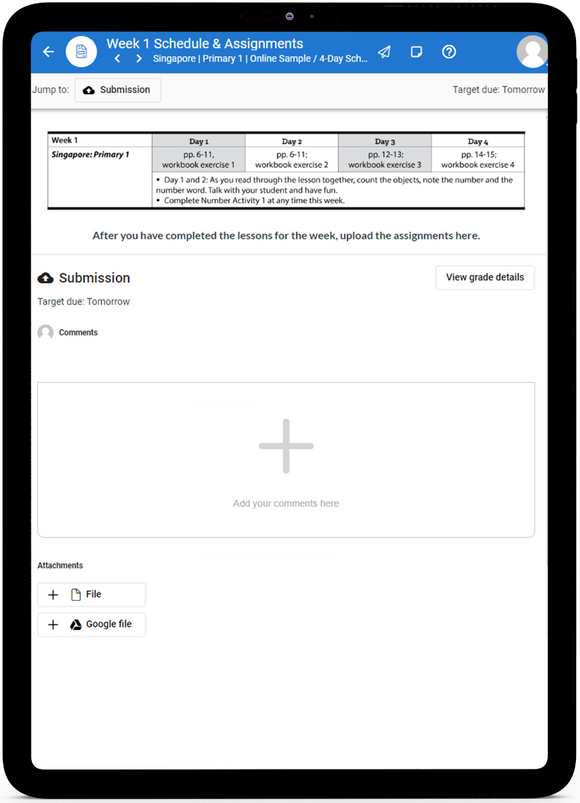 Singapore 1 Primary Math 2022  - Online Schedule