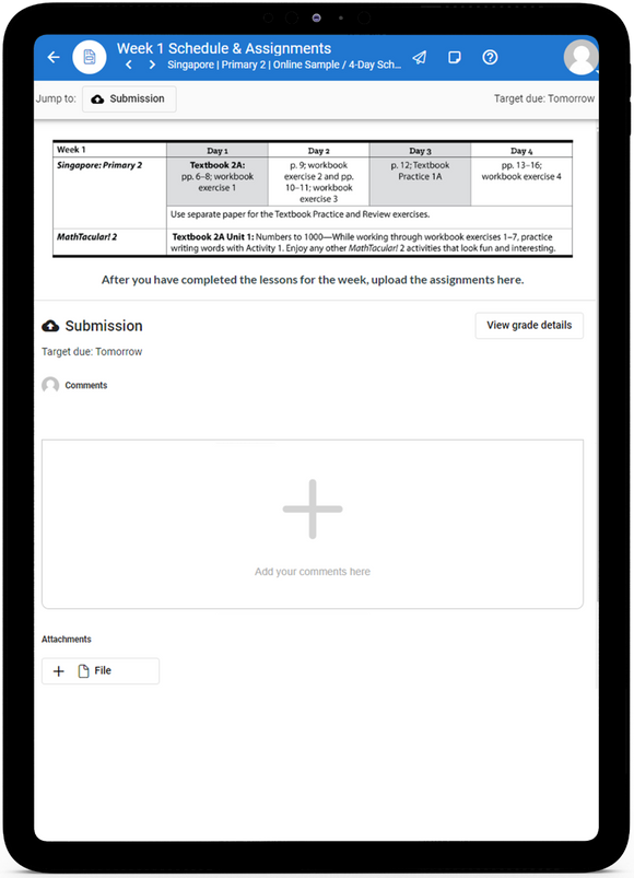 Singapore 2 Primary Math 2022  - Online Schedule