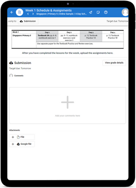 Singapore 5 Primary Math 2022  - Online Schedule