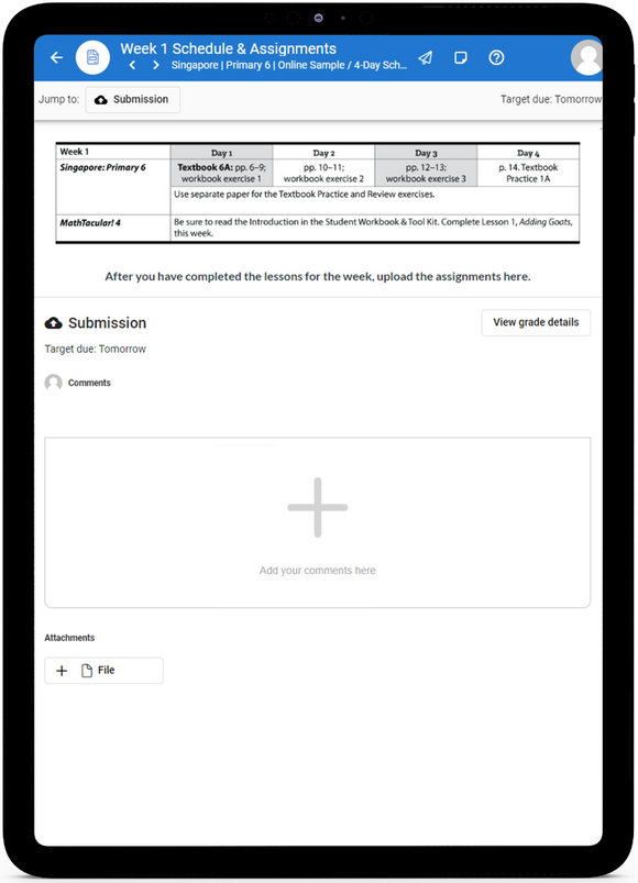 Singapore 6 Primary Math 2022  - Online Schedule