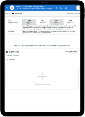 Singapore K Primary Math 2022  - Online Schedule