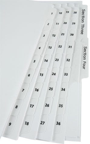 tabs dividers in10 notebook sonlight in01
