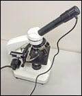 Insert the digital camera eyepiece