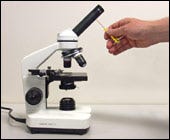 Unscrew the eyepiece