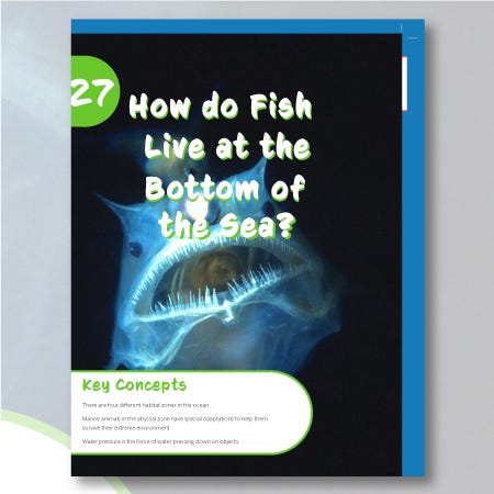 FREE Sonlight Science Experiment - How do Fish Live at the Bottom of the Sea?