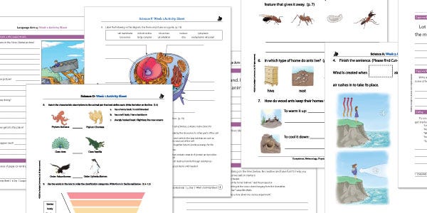 Sonlight Activity Sheets